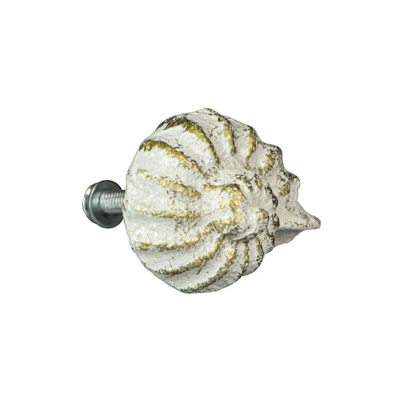 White - Image 6 - Set of 6 Rustic Antique White Finish Cast Iron Nautilus Shell Drawer Pulls - 2 Inches Long - Nautical