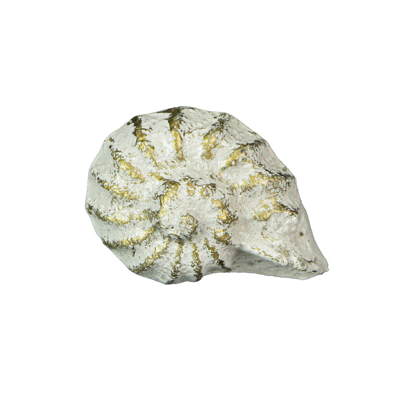 White - Image 1 - Set of 6 Rustic Antique White Finish Cast Iron Nautilus Shell Drawer Pulls - 2 Inches Long - Nautical