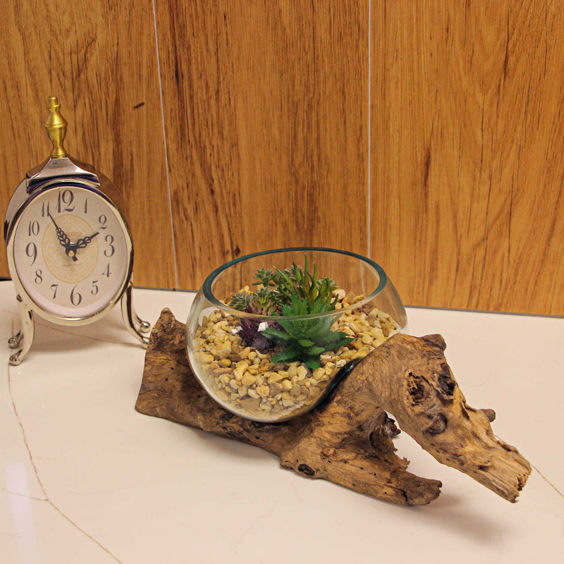 Handcrafted Melted Glass and Teak Driftwood Centerpiece Bowl / Sculpture- Unique 7-Inch Earthy Artistry for Succulents,
