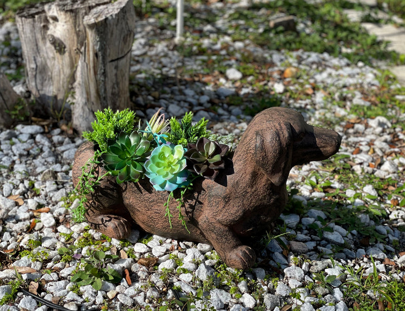 Brown - Image 4 - Whimsical Dachshund Dog Resin Planter: Rustic Brown Finish, Indoor-Outdoor Decor, 20 Inches Long,