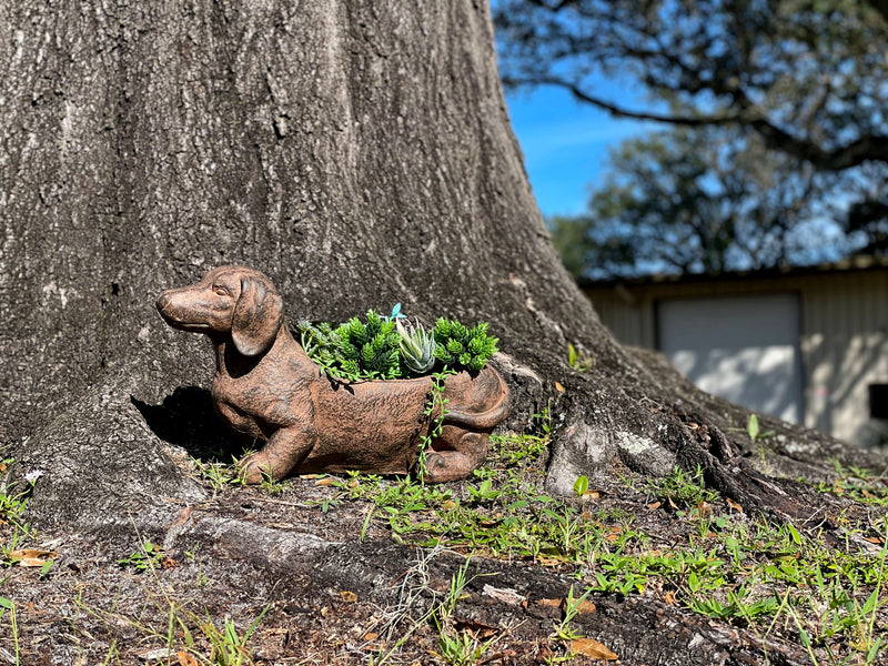 Brown - Image 5 - Whimsical Dachshund Dog Resin Planter: Rustic Brown Finish, Indoor-Outdoor Decor, 20 Inches Long,