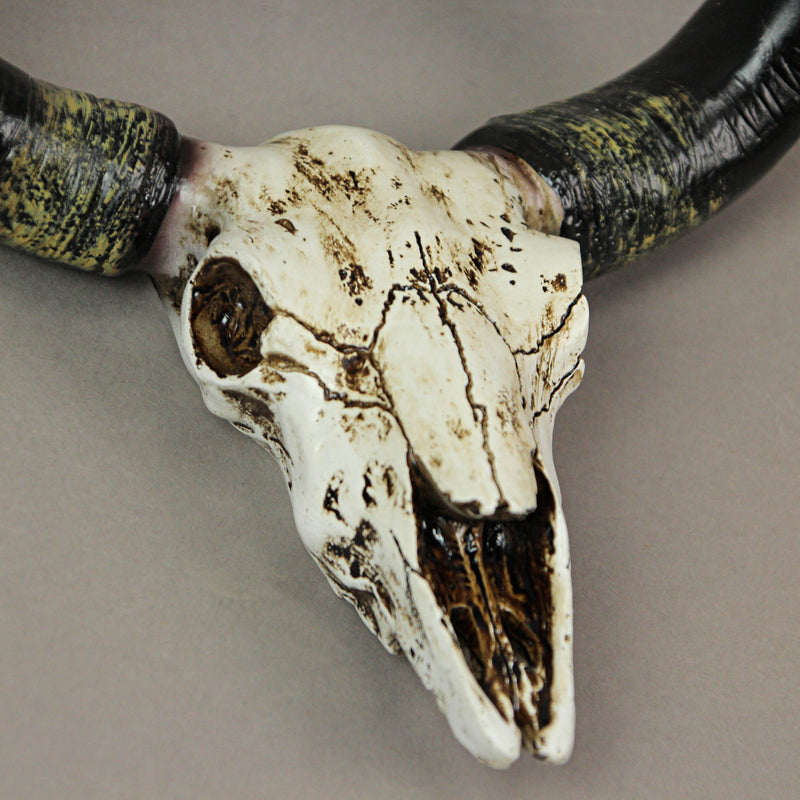 Southwestern Bull Skull Wall Mount Decorative Toilet Paper Holder: Rustic Resin Steer Skull Bathroom Decor - Western Charm