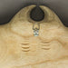 18.25 Inch - Image 11 - Hand-Carved Natural Finish Wooden Stingray Wall Hanging Sculpture - Captivating Manta Ray Home Decor