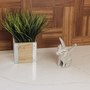Set of 2 Distressed White Cast Iron Flying Pig Bookends - Rustic Country Decorative Accents - Great for Bedrooms, Kitchen,