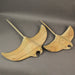 18in & 22in Set - Image 7 - Set of 2 Hand Carved Wood Stingray Wall Hanging Sculpture Coastal Manta Ray Home Decor Art