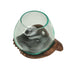 6 Inch - Image 1 - Blown Molten Glass and Carved Wood Hands Decorative Bowls, Vases, and Terrariums, 6 Inches High