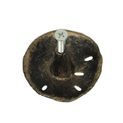 Gold - Image 3 - Antique Gold Finish Sand Dollar Drawer Pulls - 6-Piece Set, 2.25 inch Diameter, Coastal Cast Iron Knobs for