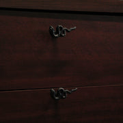 Set of 6 Snake Drawer Pulls, 2.25 Inch Black Cast Iron for Gothic Decor Image 5