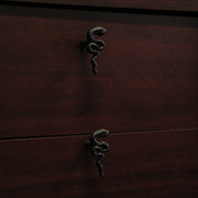 Set of 6 Snake Drawer Pulls, 2.25 Inch Black Cast Iron for Gothic Decor Image 7