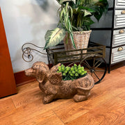 Animal Planter, 18 Inch Flying Dachshund with Distressed Brown Finish Image 8