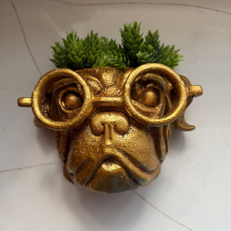 Zeckos Bulldog Wall Planter, Antique Gold Resin, 8 Inch Wide with Glasses Image 4