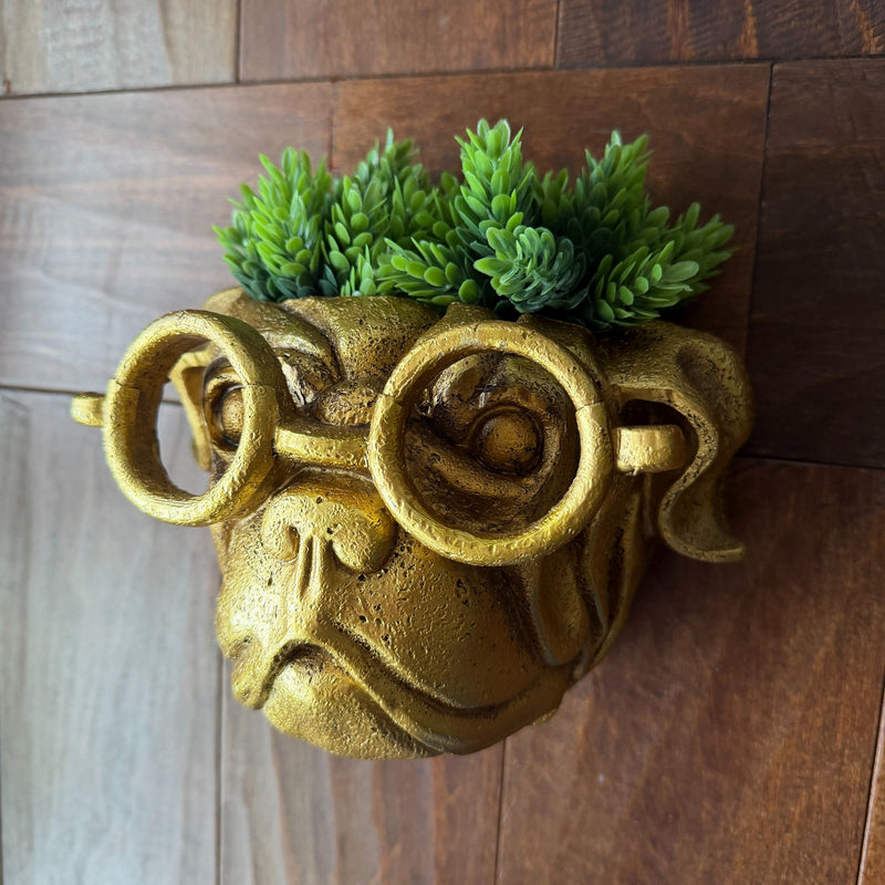 Zeckos Bulldog Wall Planter, Antique Gold Resin, 8 Inch Wide with Glasses Image 6