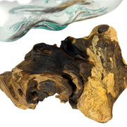 7 Inch - Image 10 - Zeckos Planter Terrarium with Molten Glass Bowl on Driftwood Base, Coastal Wood and Glass Tabletop