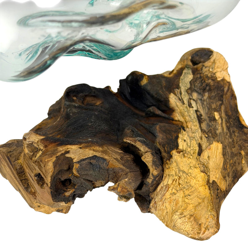 7 Inch - Image 10 - Zeckos Planter Terrarium with Molten Glass Bowl on Driftwood Base, Coastal Wood and Glass Tabletop