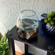7 Inch - Image 7 - Zeckos Planter Terrarium with Molten Glass Bowl on Driftwood Base, Coastal Wood and Glass Tabletop