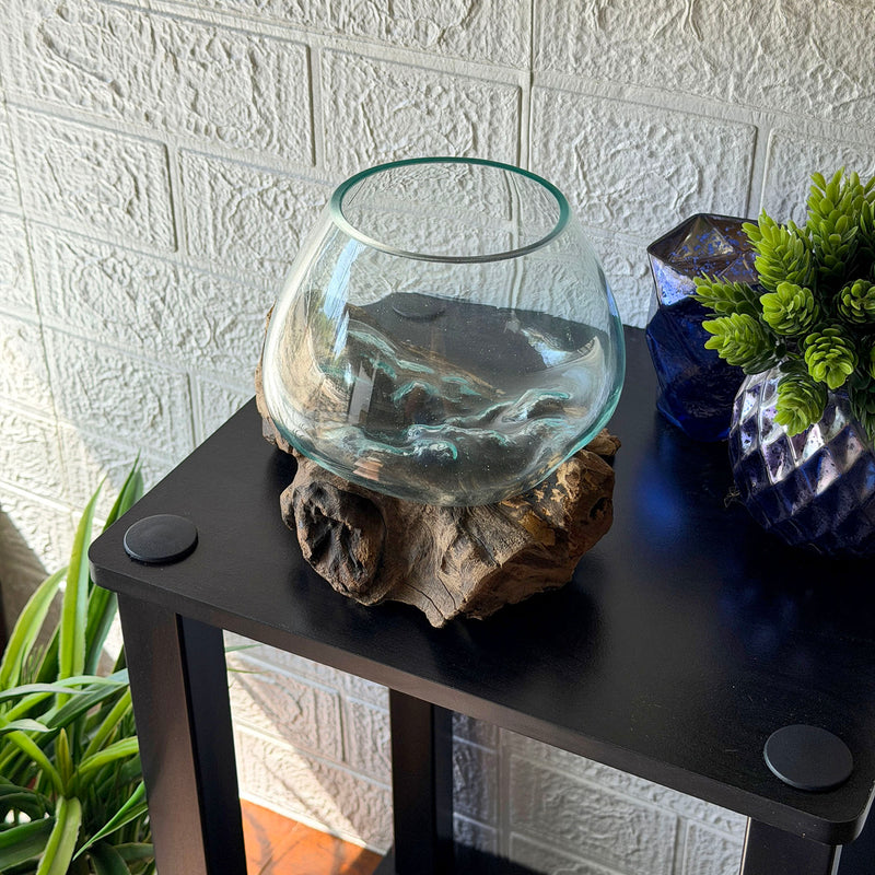 7 Inch - Image 7 - Zeckos Planter Terrarium with Molten Glass Bowl on Driftwood Base, Coastal Wood and Glass Tabletop