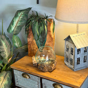 7 Inch - Image 8 - Zeckos Planter Terrarium with Molten Glass Bowl on Driftwood Base, Coastal Wood and Glass Tabletop