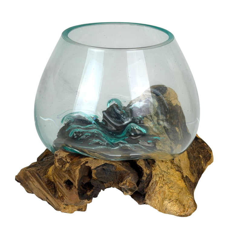 7 Inch - Image 1 - Zeckos Planter Terrarium with Molten Glass Bowl on Driftwood Base, Coastal Wood and Glass Tabletop