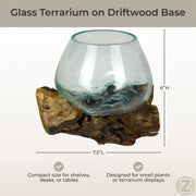 7 Inch - Image 4 - Planter Terrarium with Molten Glass Bowl on Driftwood, 7.5 Inch