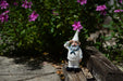 8-Inch Tall United States Navy Garden Gnome Statue, an Impactful Military Figurine and Home Decor Accent, Capturing the