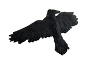 Alchemy Gothic Black Raven Pewter Hair Slide Image 2