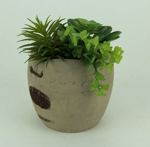 Artificial Succulents in Rustic Apple Shaped Wood Planter Image 2