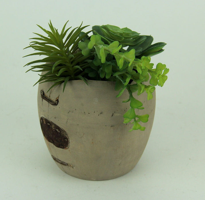 Artificial Succulents in Rustic Apple Shaped Wood Planter Image 2
