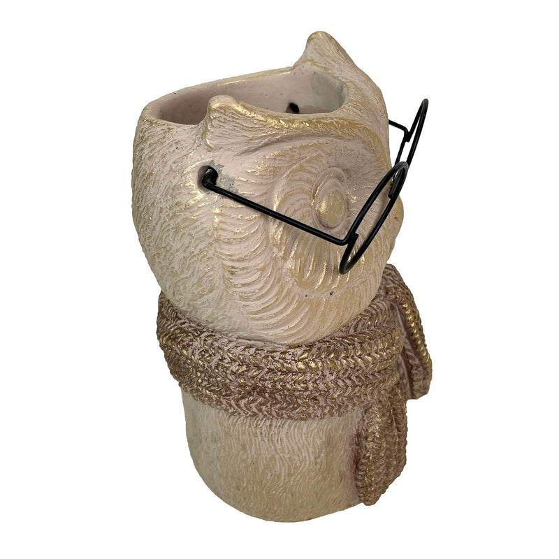 Bespectacled Owl Cement Vase 8.25 Inch – Whimsical Animal Planter with Real Glasses, Knit Textured Scarf, and Gold Metallic