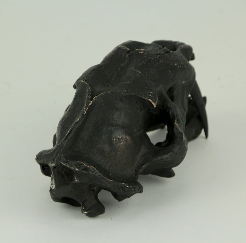 Black Saber Toothed Cat Skull Statue Smilodon Image 3