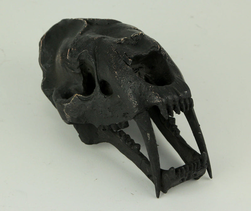 Black Saber Toothed Cat Skull Statue Smilodon Image 2