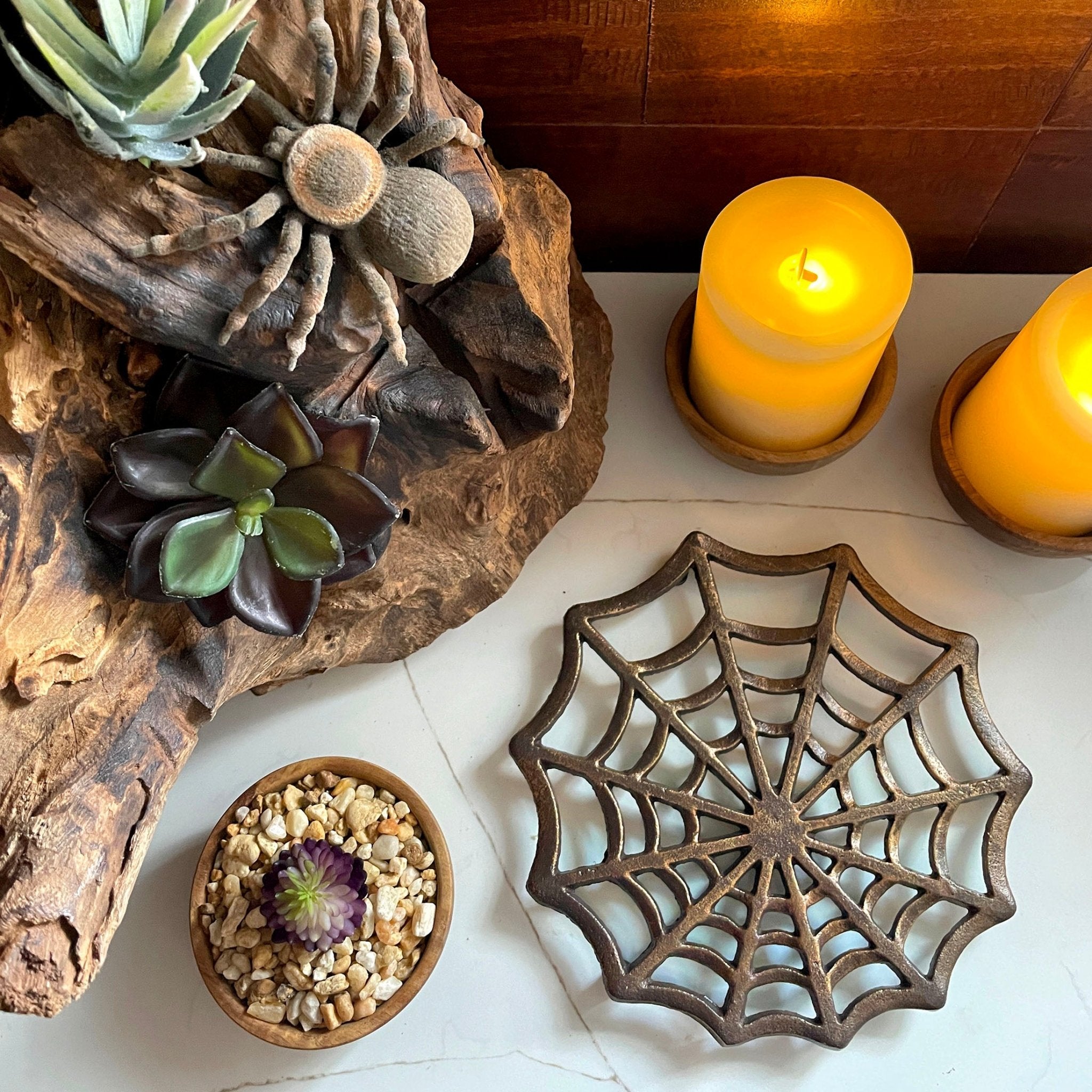 Kit Activity Frame Web Spider パッチ　セット web spider 【激レア】　operation - Nature-Watch | Craft Spider その他