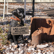 Charming Black Labrador Indoor Outdoor Welcome Statue: Lifelike Canine Companion with Reversible Message Sign for