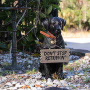 Charming Black Labrador Indoor Outdoor Welcome Statue: Lifelike Canine Companion with Reversible Message Sign for