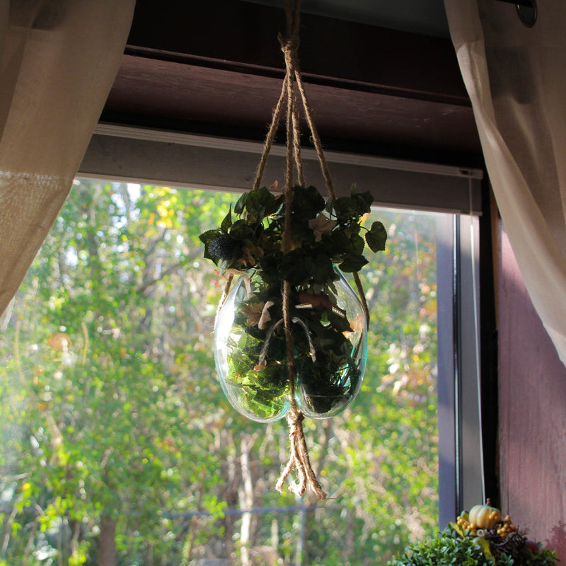 Elegant Hanging Molten Glass Bowl Planter Terrarium, Handcrafted, 9 x 9 Inch, 25 Inch Hanging Height, Ideal for Succulents &
