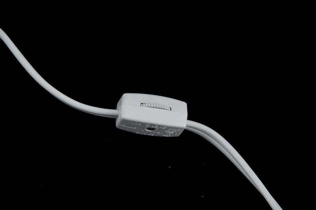 Giant Off-White Decorative Horned Conch Shell Accent Lamp 17 in. Image 4