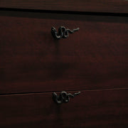 Gothic Black Cast Iron Snake Drawer Pulls – 6-Piece Set, 2.25" Long, 1" High, Serpentine Design for Cabinets, Drawers, and