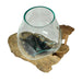 Handcrafted Glass and Teak Driftwood Vase with Wood Mushroom Embellishments, 7.25" High – Unique Sculptural Planter for Home,