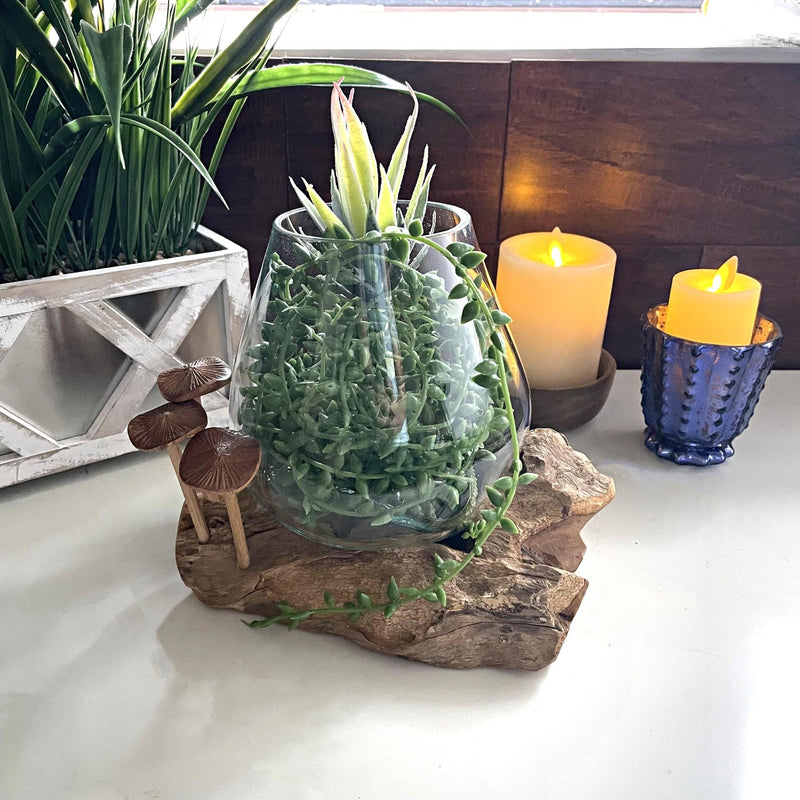Handcrafted Glass and Teak Driftwood Vase with Wood Mushroom Embellishments, 7.25" High – Unique Sculptural Planter for Home,