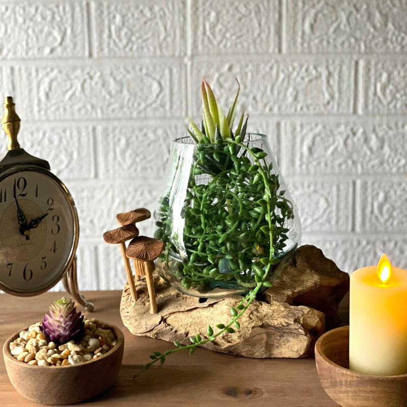Handcrafted Glass and Teak Driftwood Vase with Wood Mushroom Embellishments, 7.25" High – Unique Sculptural Planter for Home,