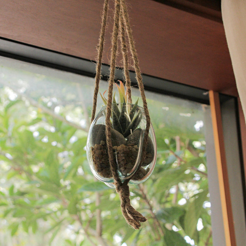 Hanging Molten Glass Vase with Jute Rope – 20.25" High, 4" Diameter, 5" High Bowl – Modern and Rustic Home Décor Accent for