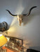 Huge 27.5-Inch Wide Long Horn Steer Skull Resin Wall Hanging for Western Themed Bedrooms and Living Rooms - Simple