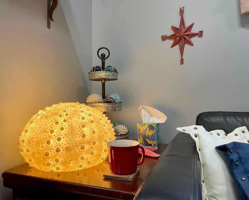 Large White Sea Urchin Coastal Table Lamp - 16 Inch Diameter Image 4