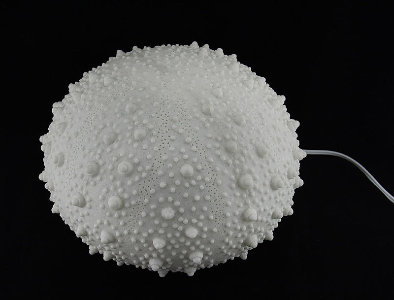 Large White Sea Urchin Coastal Table Lamp - 16 Inch Diameter Image 3