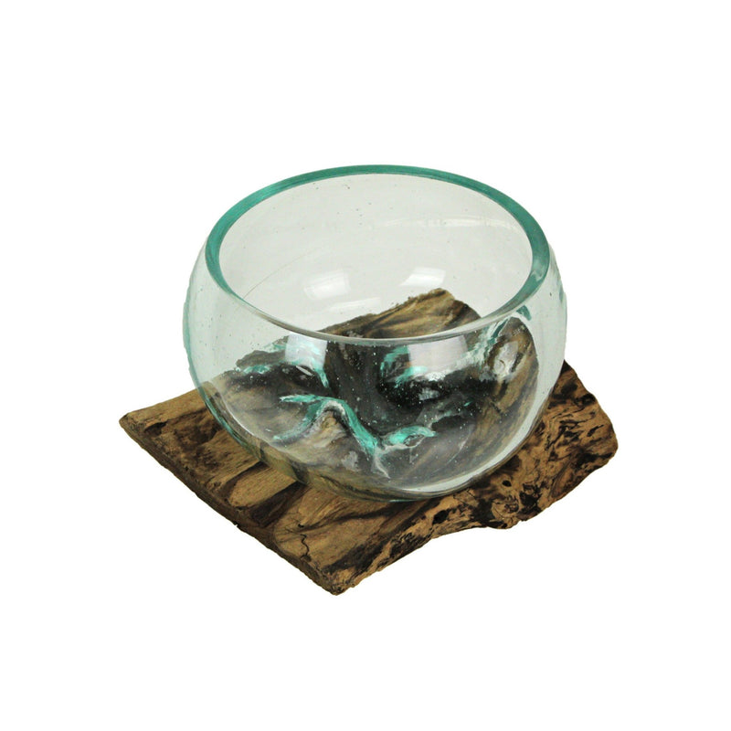 Medium Wide Mouth Molten Glass on Teak Driftwood Decorative Sculptural Bowl, Vase, and Terrarium Planter - Approximately 5