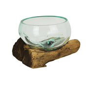 Medium Wide Mouth Molten Glass on Teak Driftwood Decorative Sculptural Bowl, Vase, and Terrarium Planter - Approximately 5