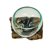 Medium Wide Mouth Molten Glass on Teak Driftwood Decorative Sculptural Bowl, Vase, and Terrarium Planter - Approximately 5