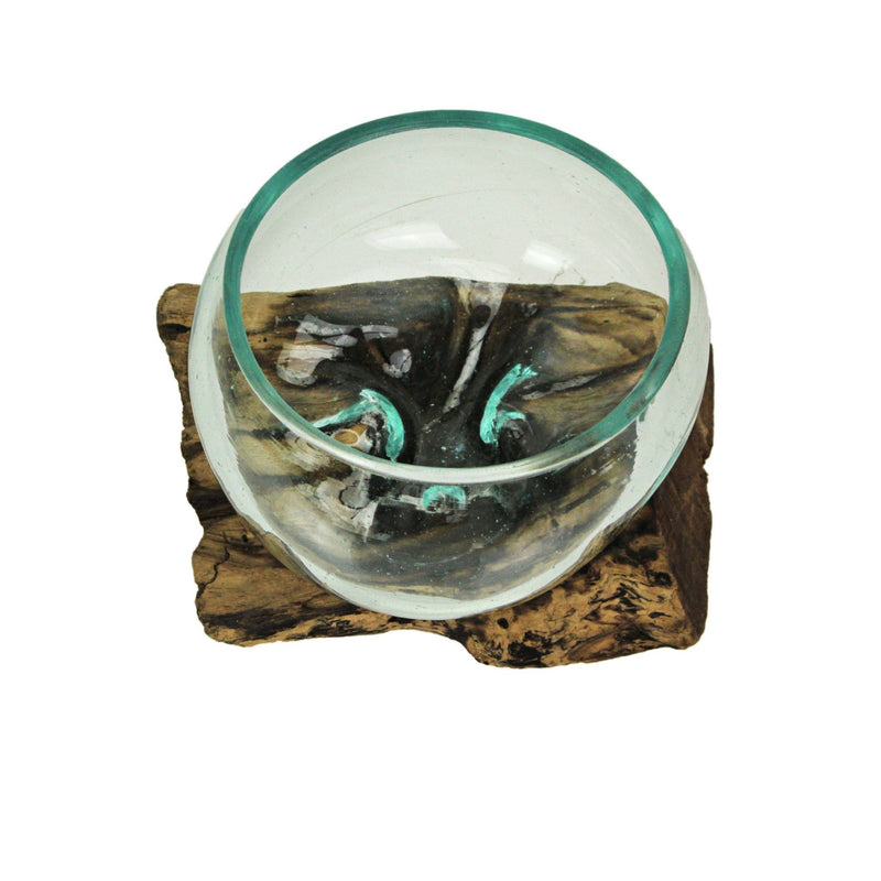Medium Wide Mouth Molten Glass on Teak Driftwood Decorative Sculptural Bowl, Vase, and Terrarium Planter - Approximately 5