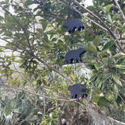 Black - Image 4 - Black Bear Rain Chain - 75 inches Long with 8 3D Bear Designs, Weighted Bell for Wind Chime Sound, Durable