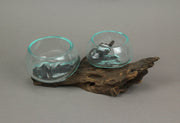 Molten Glass On Coffee Wood Root Double Decorative Bowl Vase Plant Terrarium Image 4