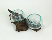 Molten Glass On Coffee Wood Root Double Decorative Bowl Vase Plant Terrarium Image 2